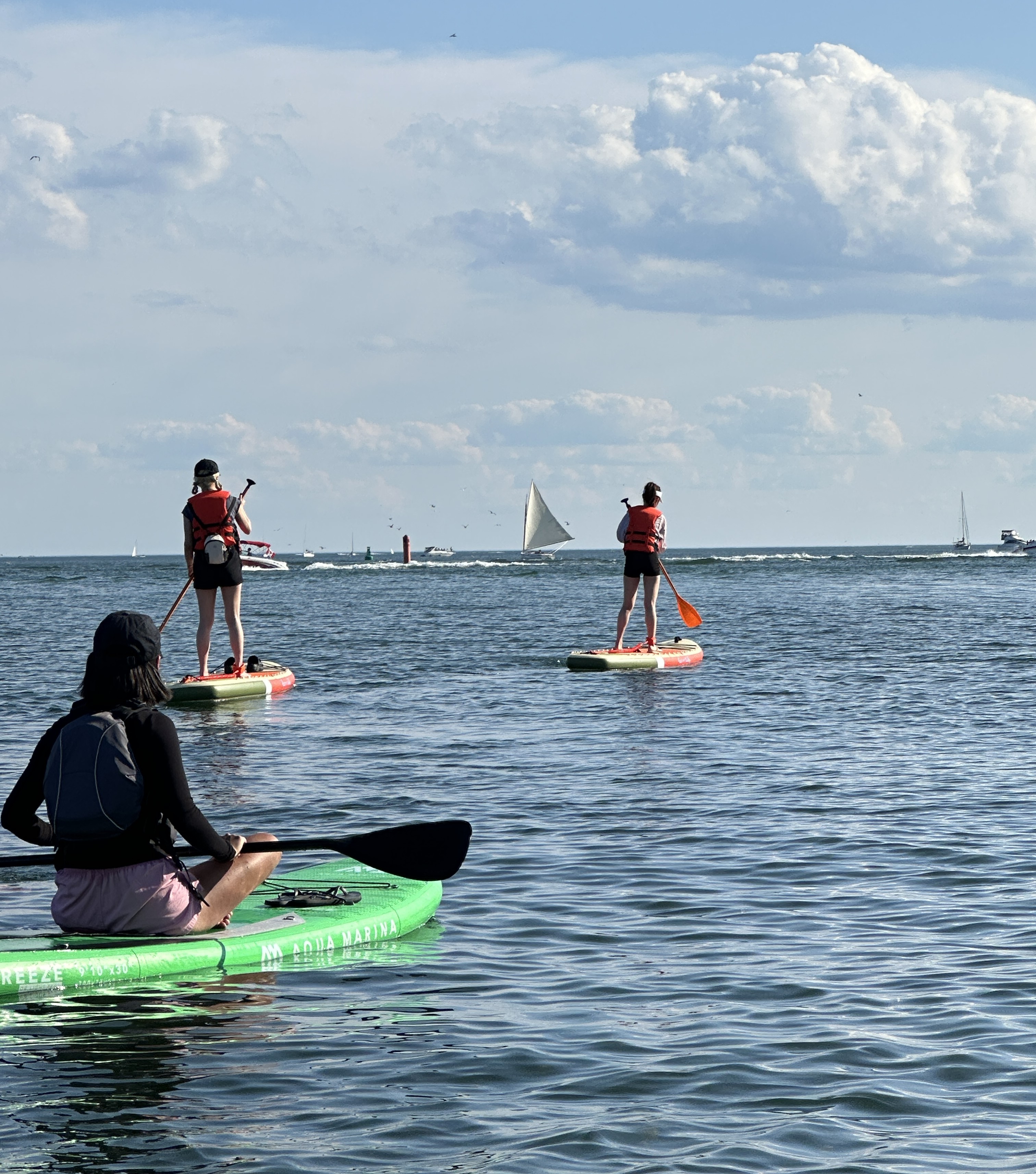 Stand-up paddle boards on the water with the Toronto skyline in view